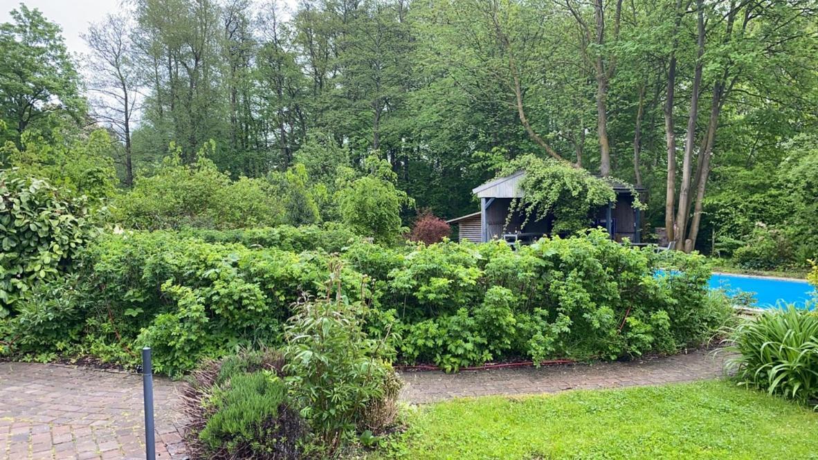 Haus West Mechelsdorf Exterior foto